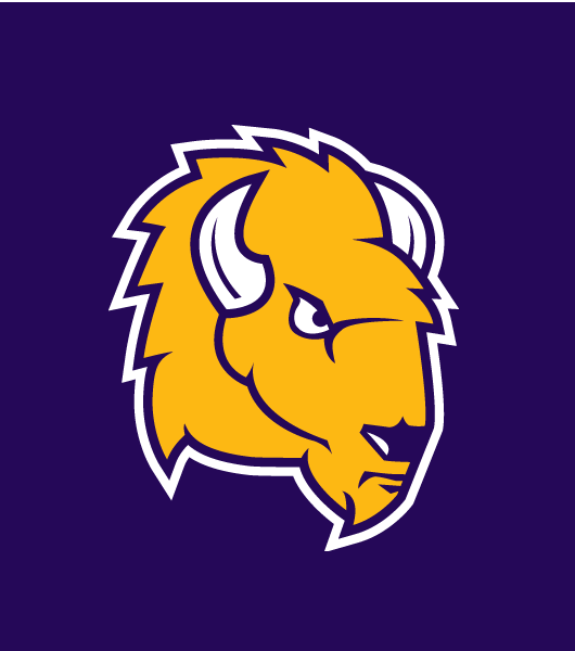Lipscomb Bisons 2012-Pres Alternate Logo diy iron on heat transfer